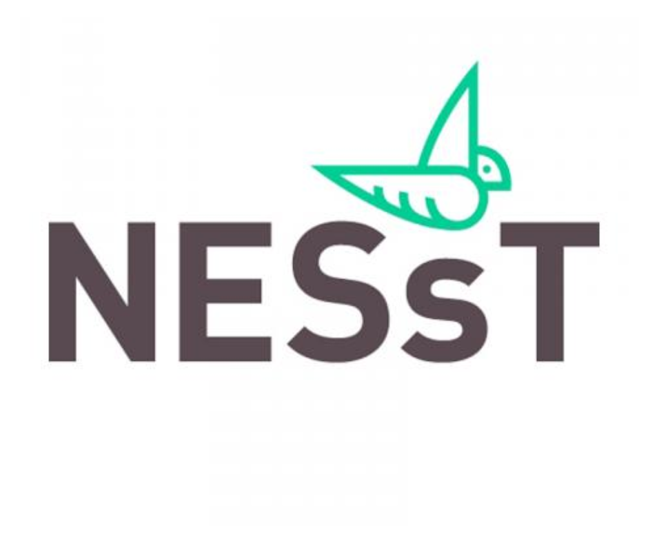 NESsT Violet Fund
