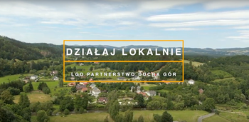 Działaj Lokalnie 2022 podsumowanie