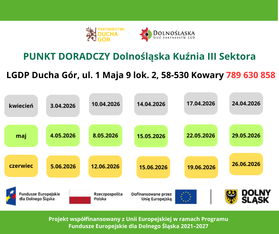 Dyżury doradcy dla NGO Iv-VI.2026